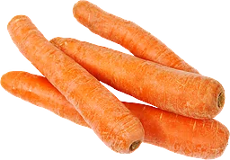 Morötter Eko