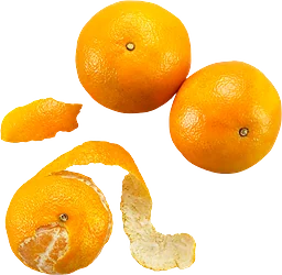 Clementiner
