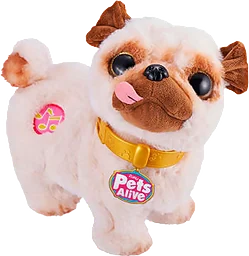 Poppy Pug