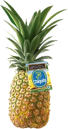 Ananas Chiquita ca 1,1kg Klass 1