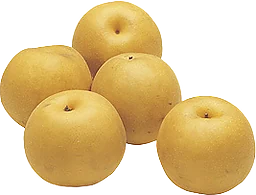 Päron