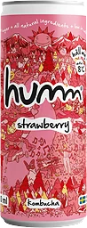 Kombucha Strawberry 0.5%