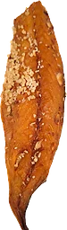 Makrill Vitlök