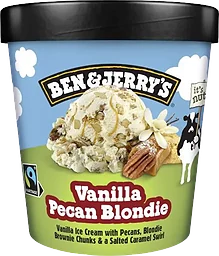 Vanilla Pecan Blondie
