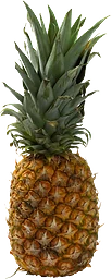 Ananas Stor