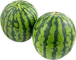 Melon Mini Vatten Eko Klass 1