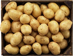Potatis Fast