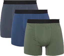 Boxer Karl mix L Karl