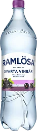 Vatten Kolsyrat Svarta Vinbär