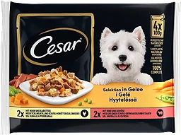 Hundmat Bit i Gel KyMoOxGr
