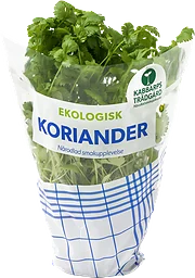 Kabbarp Koriander Eko