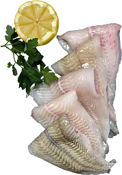 Rödspättafilé