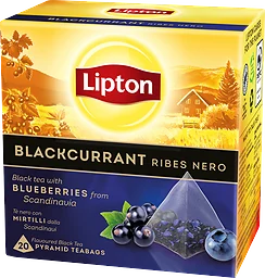 Blackcurrant Pyramid Tea Bags Svart Te
