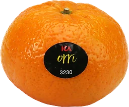 Clementin Orri ca klass 1