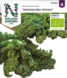 Kål, Grön-, Westlandse Winter, Organic
