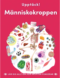 Upptäck människokroppen : lär dig allt om hur kroppen fungerar