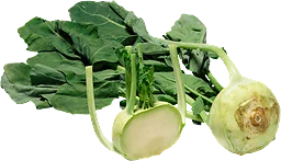 Kålrabbi