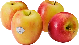 Äpple Jazz 4-pack Klass 1
