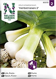 Lök Purjo Herbstriesen 2 Höst